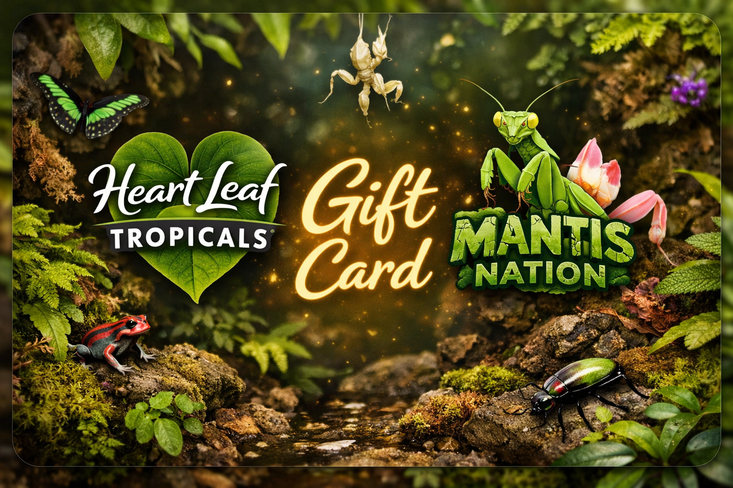 Heart Leaf Tropicals / Mantis Nation Gift Card