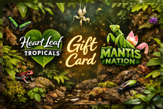 Heart Leaf Tropicals / Mantis Nation Gift Card