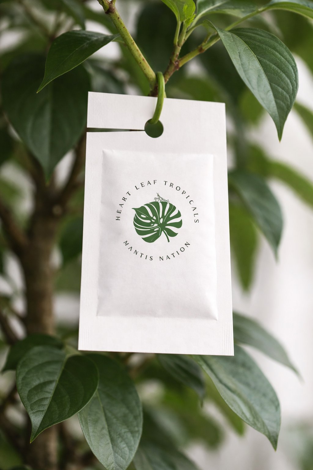 Special Blend Predatory Mite Mix Prevention Sachets